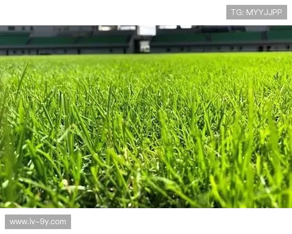 冕宁县足球场设施概况及周边配套服务详细介绍